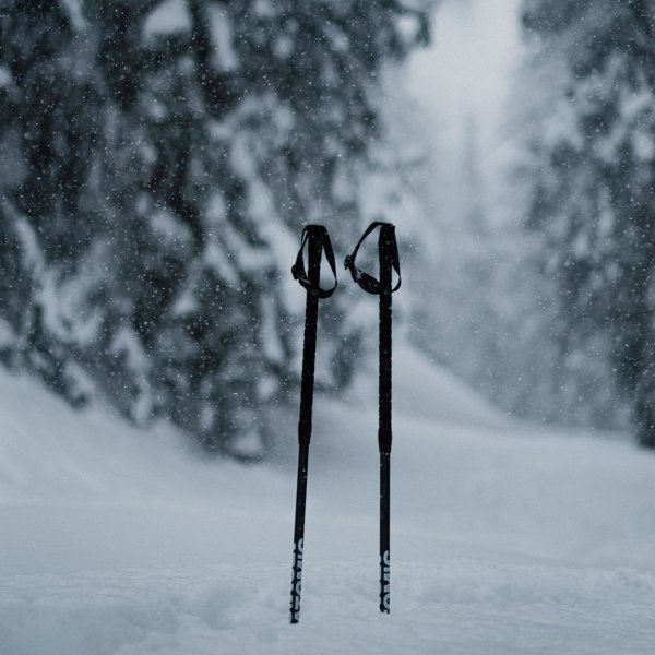 Poles